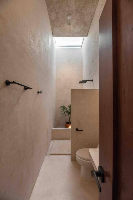 Newly Restored House “casa Lohr” With Private Pool Mérida